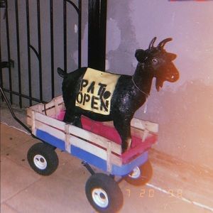 Meet your Posher, Bleu